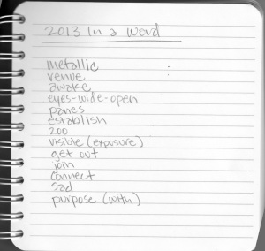 2013-in-a-word-list